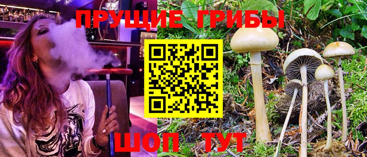 Мытищи  Галлюциногенные грибы GOLDEN TEACHER  Вход с VPN 